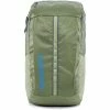 Patagonia Black Hole Pack 25l Friend Green